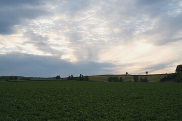 Obraz premium Hokkaido, cloud layers and woodland, with rural landscape, in june, scene