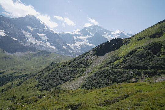 Switzerland, glacier and mountain ridges, with pasture, in august, scenic view