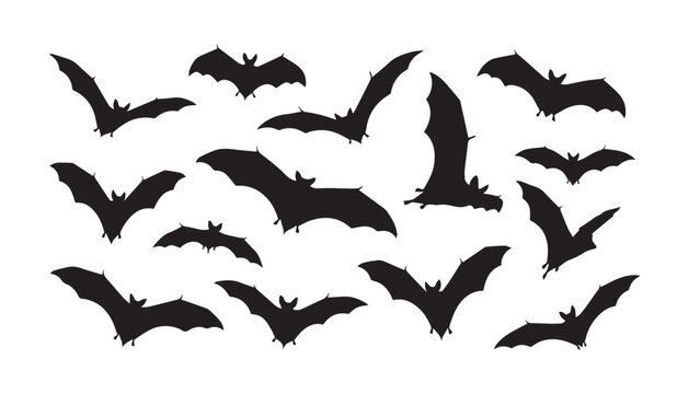 black and white silhouette set of bats very high quality vector illustration.
