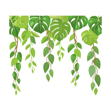 Weeping willow foliage garland hanging vines vector illustration for romantic wedding backdrop decoration and fantasy forest frame graphic element