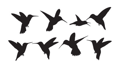 black and white silhouette set of hummingbirds very high quality vector illustration. © dinesh