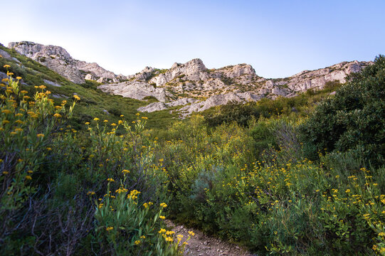 provence alpilles natural parc mountains