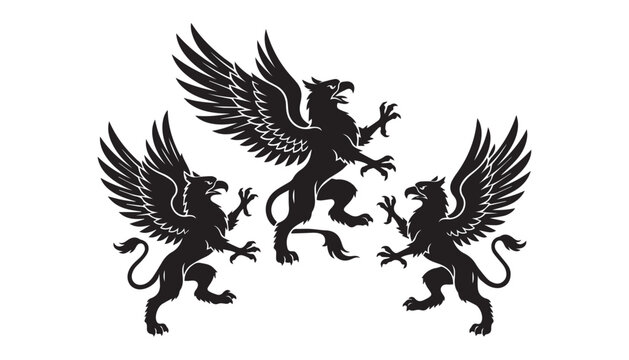 black and white silhouette set of Griffin very high quality vector illustration.