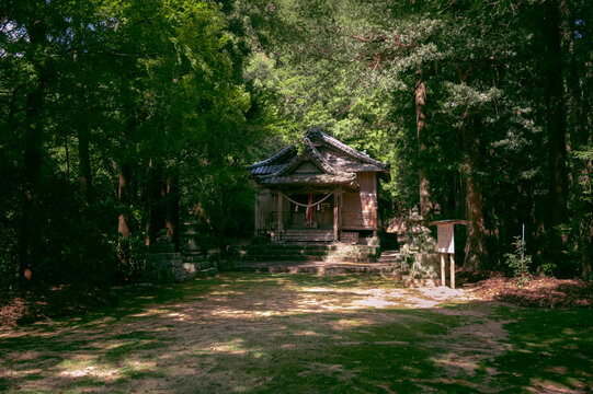 Ghibli like Calm Atmosphere Japanese Old Shrine
