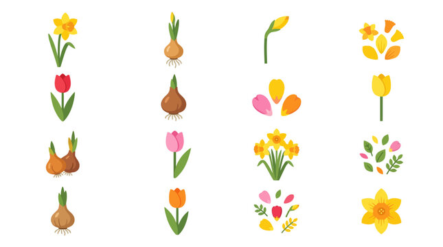 Colorful flowers and bulbs.