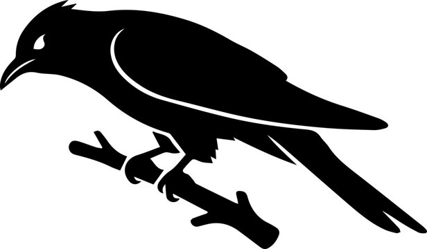 crow on a branch