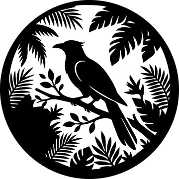black koel bird sit on branh