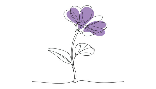 One continuous line illustration of an violet flower , isolated on white background.