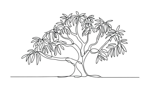 One continuous line illustration of an Mango Tree , isolated on white background.