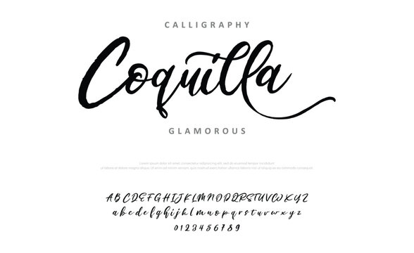 Hand drawn vector alphabet. Modern monoline signature script font. Elegant Signature Font. Best Alphabet Beautiful Calligraphy Signature Font