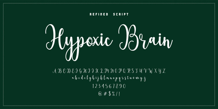 Hand drawn vector alphabet. Modern monoline signature script font. Elegant Signature Font. Best Alphabet Beautiful Calligraphy Signature Font