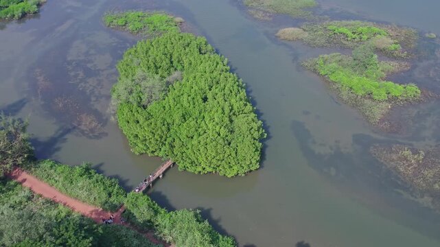 High angle view of Honnavar mangrove landscapes with waterways and lush green surroundings scenery