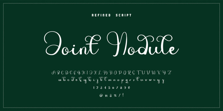 Hand drawn vector alphabet. Modern monoline signature script font. Elegant Signature Font. Best Alphabet Beautiful Calligraphy Signature Font