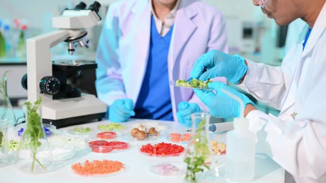 Team nutritionist in lab coat analyzing food and writing in notebook. Healthy eating, organic testing, and nutrition science in a clean lab.