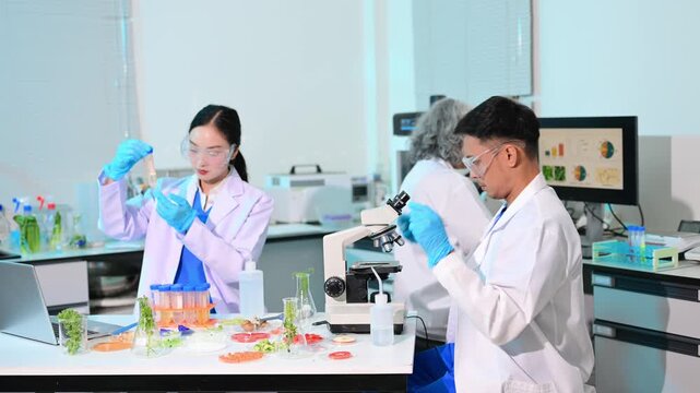 Team nutritionist in lab coat analyzing food and writing in notebook. Healthy eating, organic testing, and nutrition science in a clean lab.