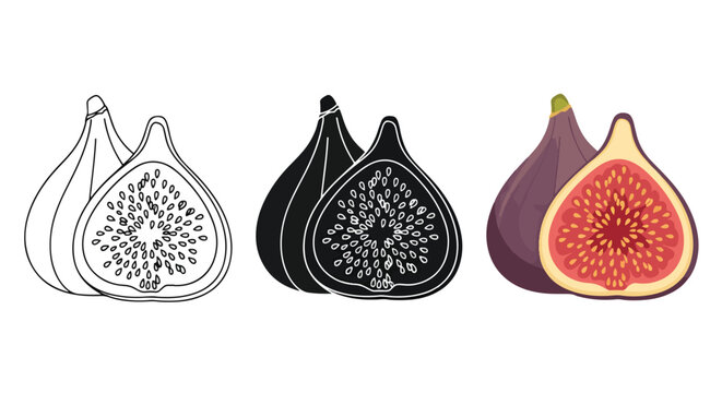flat fig fruit icons set vector - Editable line icons. Vector illustration - Glyph and solid icon set - Icon vector