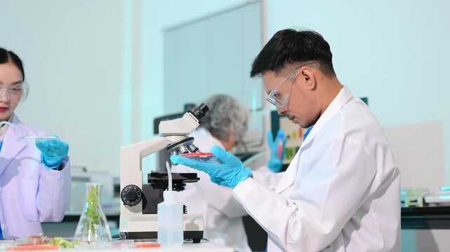 Team nutritionist in lab coat analyzing food and writing in notebook. Healthy eating, organic testing, and nutrition science in a clean lab.