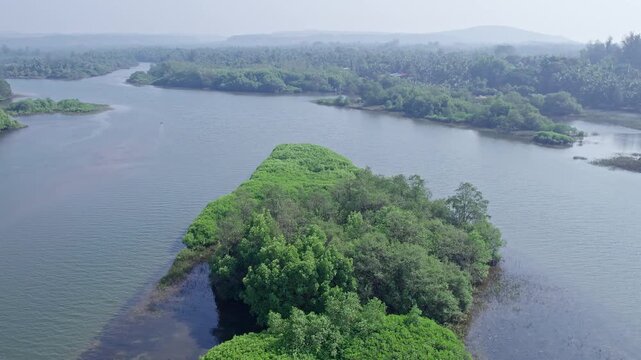 High angle view of Sharavati coastal river near Honnavar surrounded by lush vegetated islands