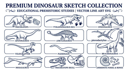 Premium Dinosaur Sketch Collection: Educational Prehistoric Studies Vector Art © Sisil