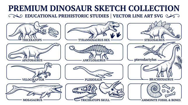 Premium Dinosaur Sketch Collection: Educational Prehistoric Studies Vector Art