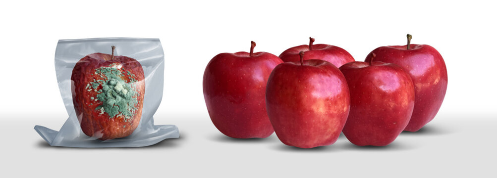 Quarantine And Isolation concept as an infectious disease containment and community protection as a moldy apple sealed in a transparent bag and separated from a group of healthy apples to symbolize pr