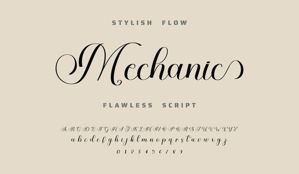 signature Font Calligraphy Logotype Script Brush Font Type Font lettering handwritten.  Best Alphabet Beautiful Calligraphy Signature Font.