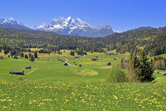 Spring landscape with Zugspitze massif in the Wetterstein range, Kr&uuml;n, Werdenfelser Land, Upper Bavaria, Bavaria, Germany