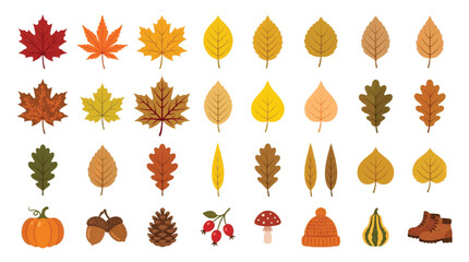 Autumn leaf collection with 32 flat vector icons, fall foliage elements including maple and oak leaves, seasonal harvest symbols for thanksgiving design © Muhammad