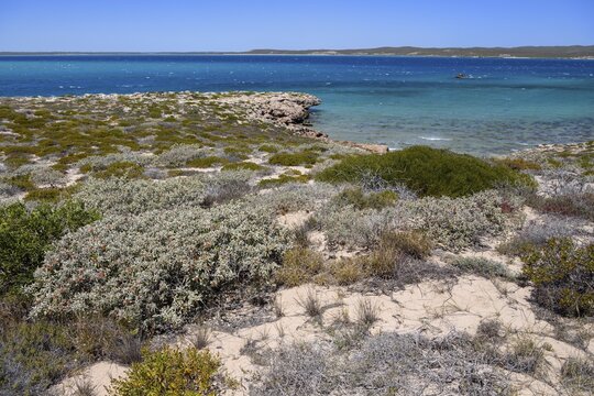Landscape on Dirk Hartog Island, Dirk Hartog Island National Park, named after the Dutch navigator of the same name, Shire of Shark Bay, State of Western Australia, Australia