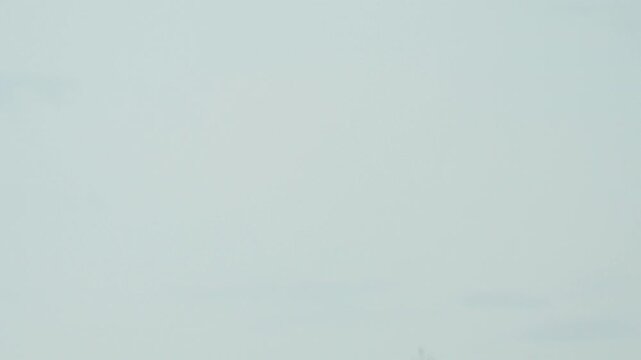 Northern Lapwing (Vanellus vanellus). Northern Lapwing in flight against a blue sky. Slow motion.
