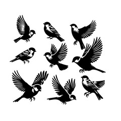 Obraz premium Collection of nine black silhouette sparrows in various flying and perching poses, isolated on white.
