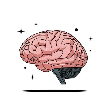 Human brain anatomical diagram with highlighted regions.