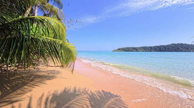 Tropical beach with palm shadows and gentle waves under bright sun
