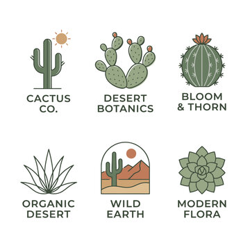 Cactus plant with green spines.