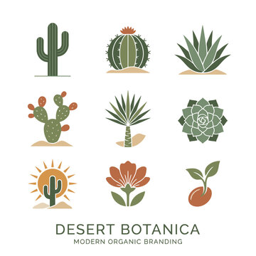 Desert Cactus Succulent Plant Species.