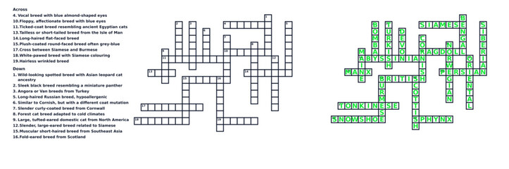 Obraz premium Cat breeds crossword puzzle and solution sheet. Educational game vector illustration isolated on transparent background