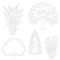 Obraz premium Minimalist line art tree and plant collection, 5 nature vector icons, thin black outline botanical elements for landscape design and coloring