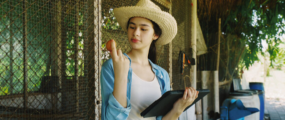 Farmers are checking the health of chickens on the farm in preparation for export.  © eakarat