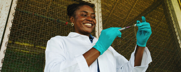 Farmers are checking the health of chickens on the farm in preparation for export.  © eakarat