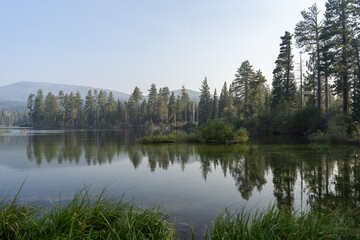 Fototapeta premium Expansive prairie with dry golden grass leading to a dense conifer forest line under a clear blue sky, illustrating wilderness and the natural environment of California