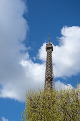 Obraz premium The Eiffel Tower, 300 meters tall, is a wrought iron structure next to the Sena River., France