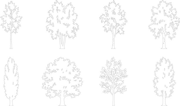 Minimalist tree line art collection, 8 architectural tree outline icons, thin black stroke deciduous tree vectors for site plans and landscape design