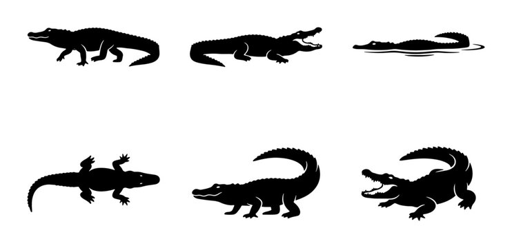 Alligator Silhouettes Collection, Reptile Vector Icons, Wildlife Animal Graphics