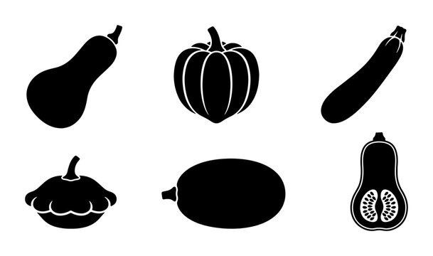 Vector Icons: Assorted Squash & Gourd Varieties, Autumn Harvest Collection, Black Silhouettes