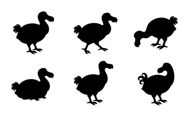 Dodo Bird Silhouettes, Extinct Avian Poses, Vector Icons for Wildlife and History © Towhid