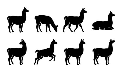Llama Silhouette Collection, Vector Animals, Diverse Poses, Black and White Icons © Khalid