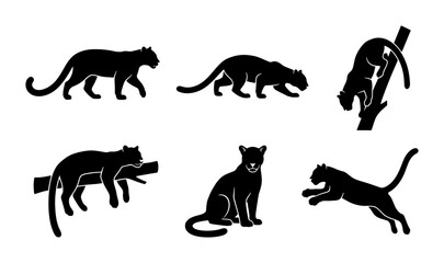 Black Panther Silhouette Collection, Wild Cat Vector Icons, Big Cat Poses, Jungle Predator Graphics © Tamanna