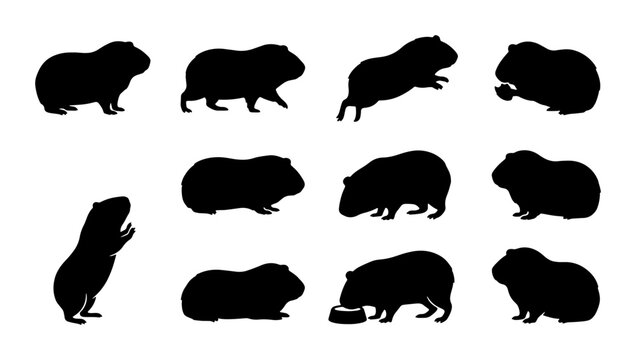 Guinea Pig Silhouettes Collection, Cute Rodent Poses Vector Set, Pet Animal Graphics