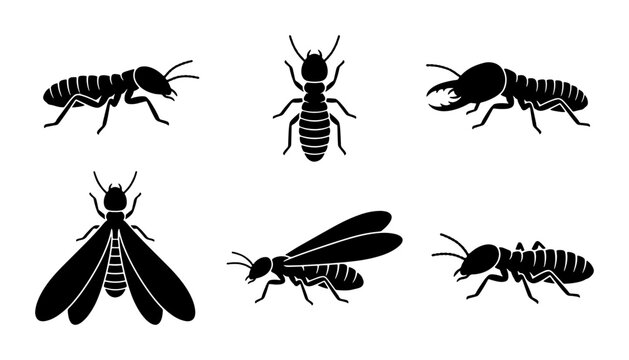 Termite Icons Set, Insect Vector Graphics, Pest Control Symbols, Black and White Silhouettes