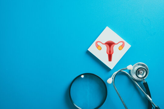 Top down flat lay of stethoscope, magnifying glass and female reproductive system uterus graphic on blue background. Gynecology medical research, fertility screening, and women healthcare concept.